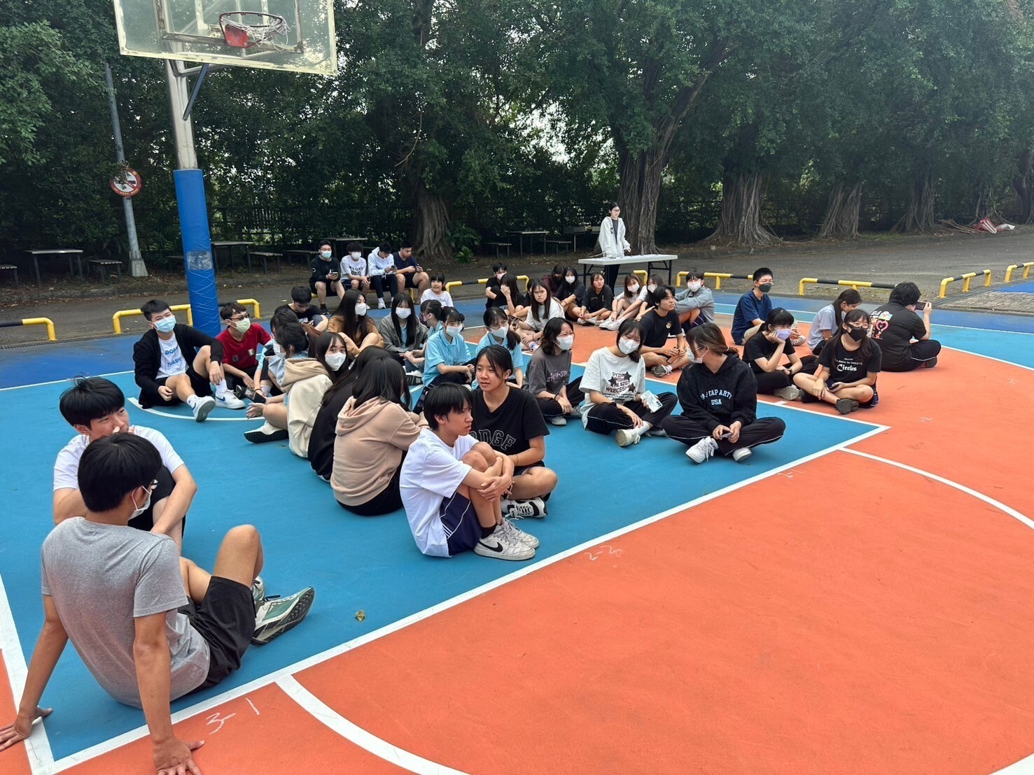 113醫技特攻5